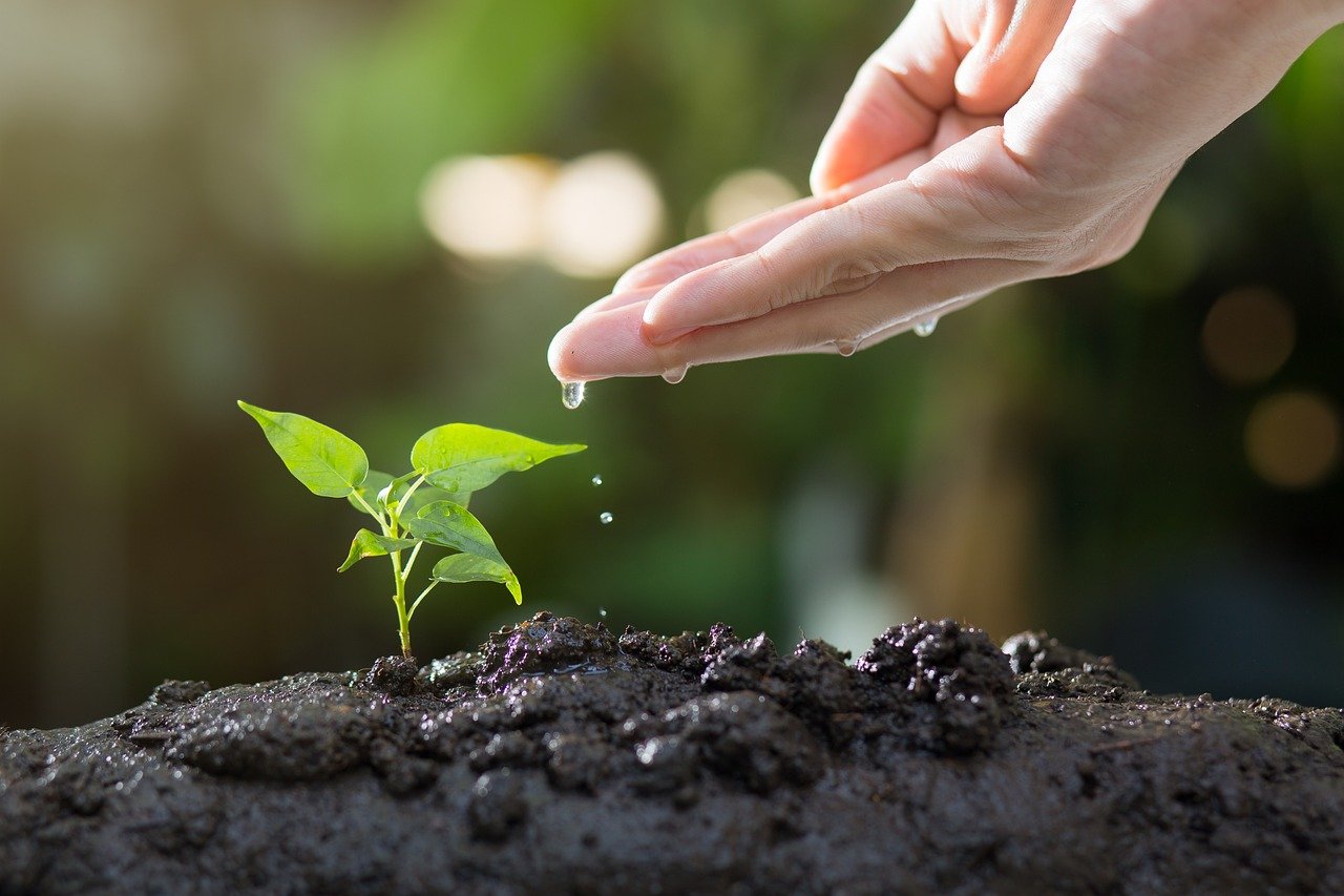 ISO 14001